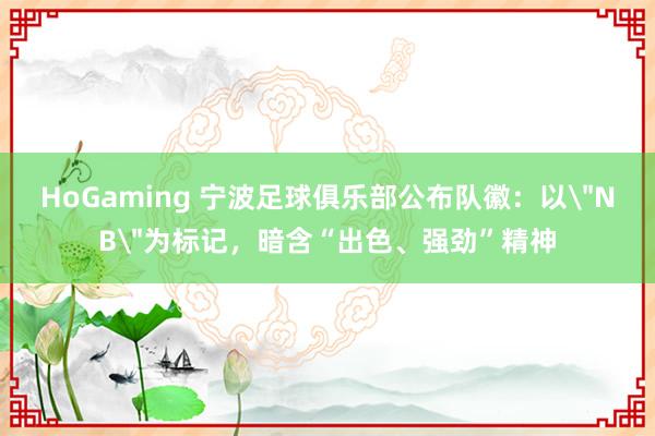 HoGaming 宁波足球俱乐部公布队徽：以＂NB＂为标记，暗含“出色、强劲”精神