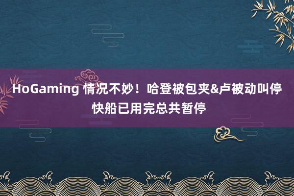 HoGaming 情况不妙！哈登被包夹&卢被动叫停 快船已用完总共暂停