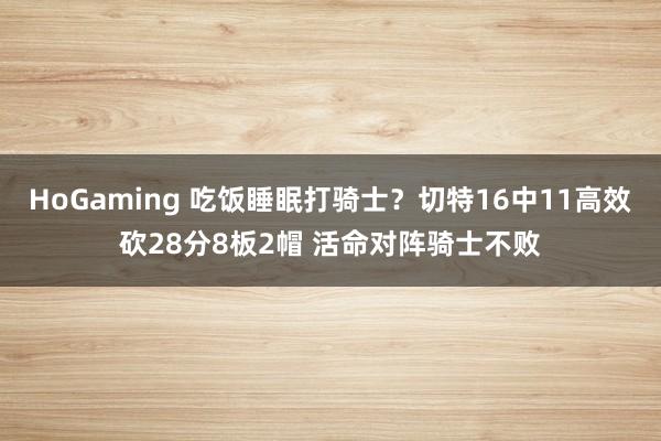 HoGaming 吃饭睡眠打骑士？切特16中11高效砍28分8板2帽 活命对阵骑士不败