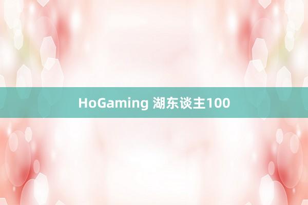 HoGaming 湖东谈主100