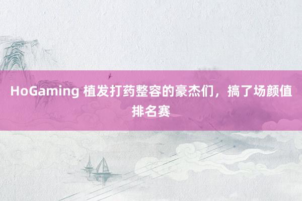 HoGaming 植发打药整容的豪杰们，搞了场颜值排名赛