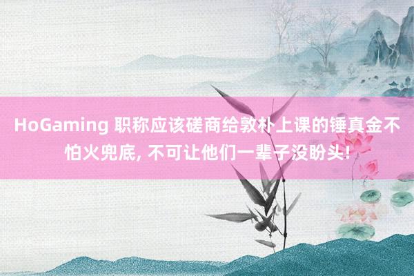 HoGaming 职称应该磋商给敦朴上课的锤真金不怕火兜底, 不可让他们一辈子没盼头!