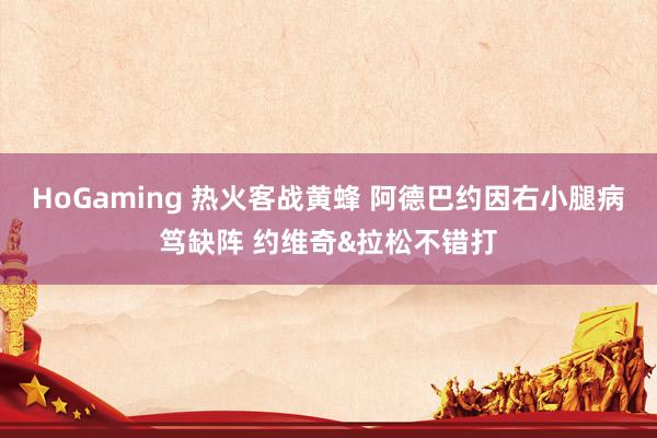 HoGaming 热火客战黄蜂 阿德巴约因右小腿病笃缺阵 约维奇&拉松不错打
