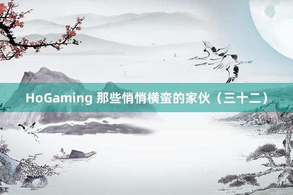 HoGaming 那些悄悄横蛮的家伙（三十二）