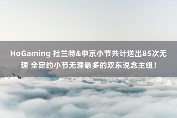 HoGaming 杜兰特&申京小节共计送出85次无理 全定约小节无理最多的双东说念主组！