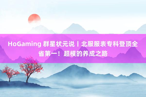HoGaming 群星状元说丨北服服表专科登顶全省第一！超模的养成之路