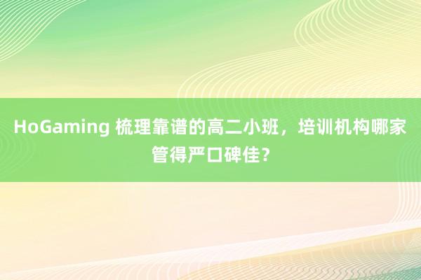HoGaming 梳理靠谱的高二小班，培训机构哪家管得严口碑佳？