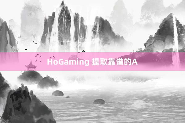 HoGaming 提取靠谱的A