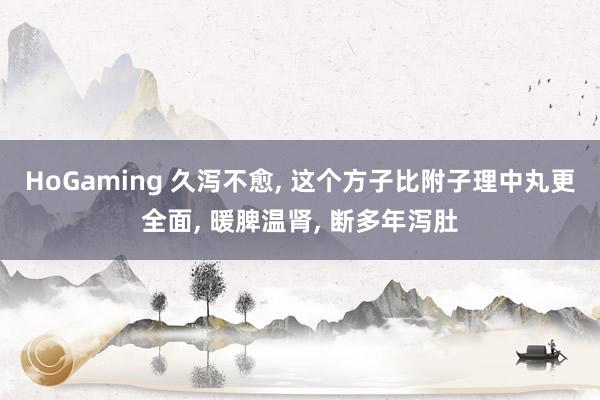 HoGaming 久泻不愈, 这个方子比附子理中丸更全面, 暖脾温肾, 断多年泻肚