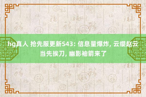 hg真人 抢先服更新S43: 信息量爆炸, 云缨赵云当先挨刀, 幽影袖箭来了