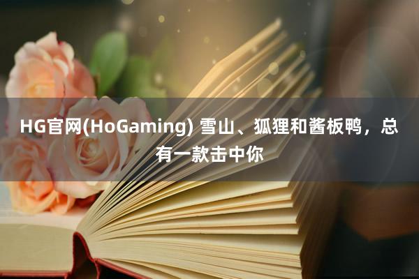 HG官网(HoGaming) 雪山、狐狸和酱板鸭，总有一款击中你