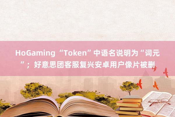 HoGaming “Token”中语名说明为“词元”；好意思团客服复兴安卓用户像片被删