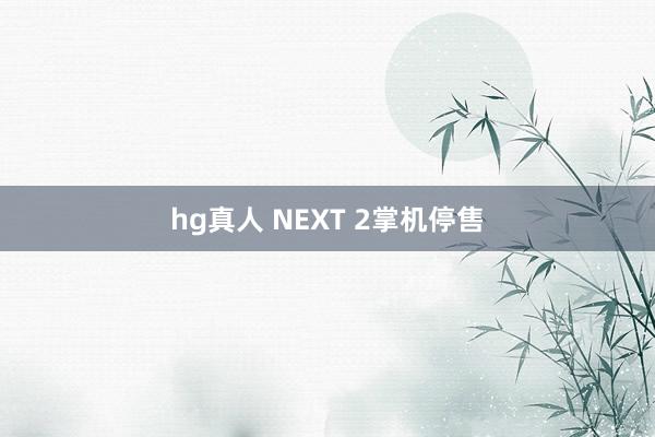 hg真人 NEXT 2掌机停售