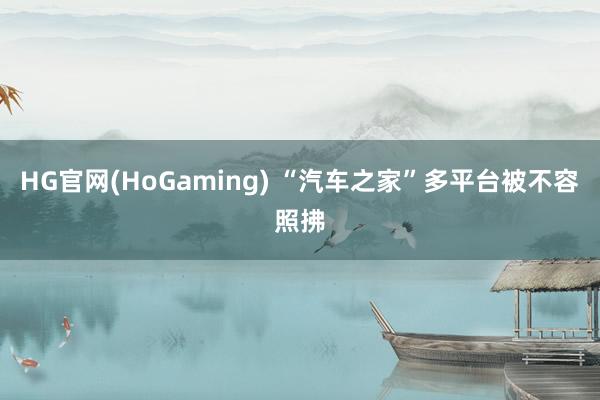 HG官网(HoGaming) “汽车之家”多平台被不容照拂