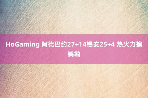 HoGaming 阿德巴约27+14锡安25+4 热火力擒鹈鹕