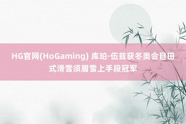 HG官网(HoGaming) 库珀·伍兹获冬奥会目田式滑雪须眉雪上手段冠军