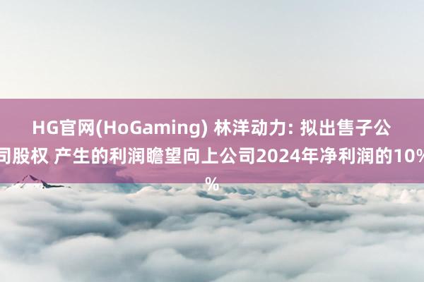 HG官网(HoGaming) 林洋动力: 拟出售子公司股权 产生的利润瞻望向上公司2024年净利润的10%