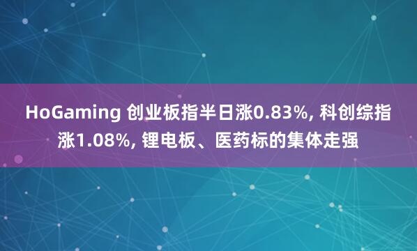 HoGaming 创业板指半日涨0.83%, 科创综指涨1.08%, 锂电板、医药标的集体走强