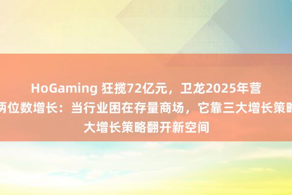 HoGaming 狂揽72亿元，卫龙2025年营收净利罢了两位数增长：当行业困在存量商场，它靠三大增长策略翻开新空间