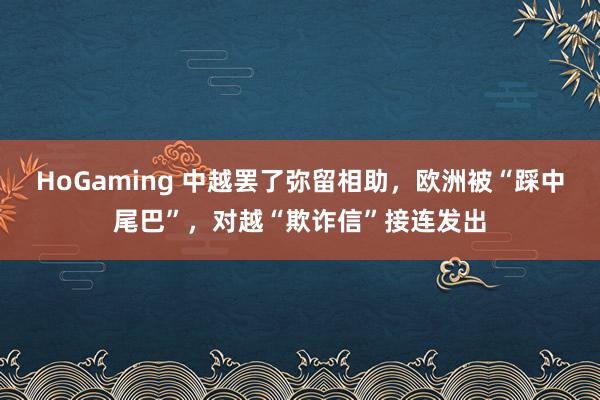 HoGaming 中越罢了弥留相助，欧洲被“踩中尾巴”，对越“欺诈信”接连发出