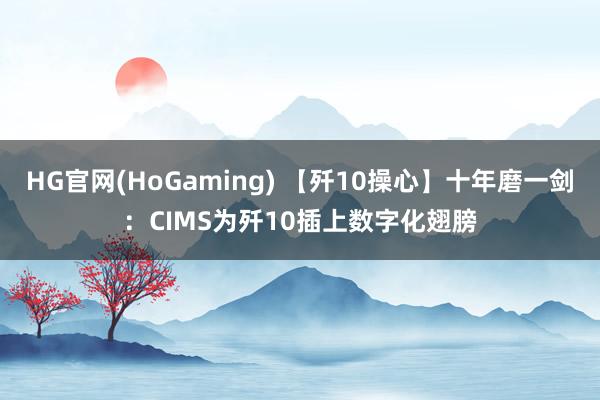 HG官网(HoGaming) 【歼10操心】十年磨一剑：CIMS为歼10插上数字化翅膀