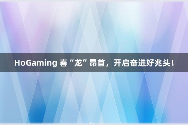HoGaming 春“龙”昂首，开启奋进好兆头！