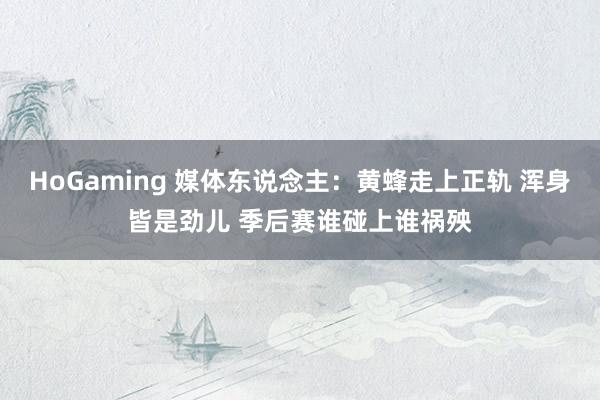 HoGaming 媒体东说念主：黄蜂走上正轨 浑身皆是劲儿 季后赛谁碰上谁祸殃