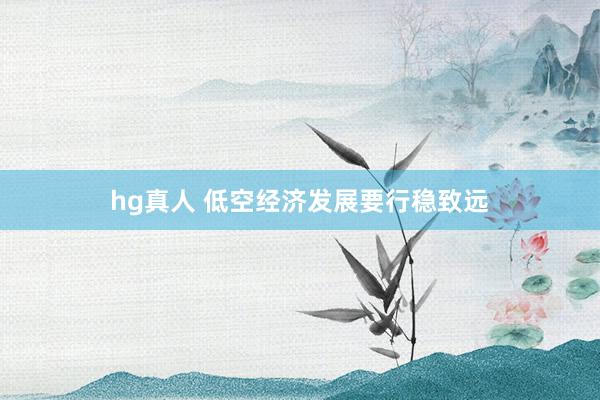hg真人 低空经济发展要行稳致远