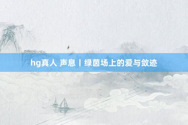 hg真人 声息丨绿茵场上的爱与敛迹