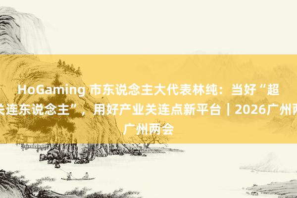 HoGaming 市东说念主大代表林纯：当好“超等关连东说念主”，用好产业关连点新平台｜2026广州两会