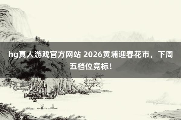 hg真人游戏官方网站 2026黄埔迎春花市，下周五档位竞标！