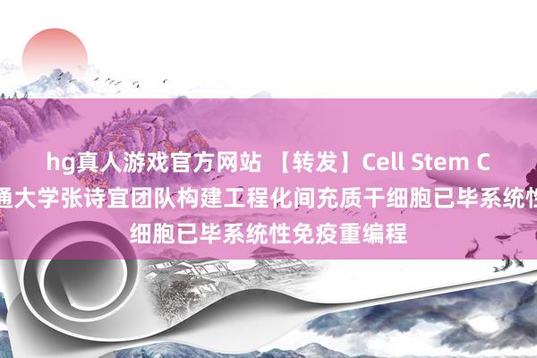 hg真人游戏官方网站 【转发】Cell Stem Cell | 上海交通大学张诗宜团队构建工程化间充质干细胞已毕系统性免疫重编程