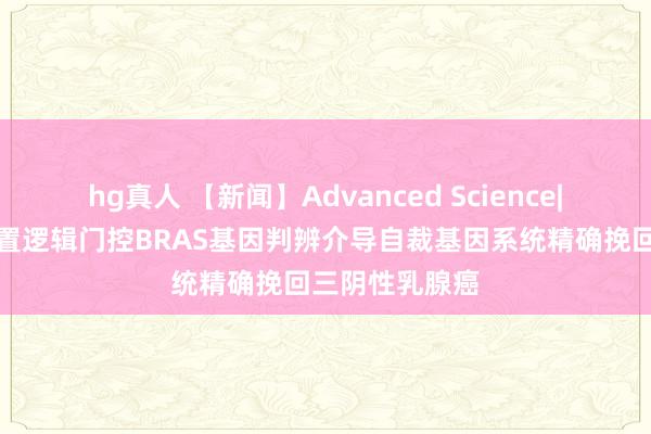 hg真人 【新闻】Advanced Science|蔡丰丰团队设置逻辑门控BRAS基因判辨介导自裁基因系统精确挽回三阴性乳腺癌