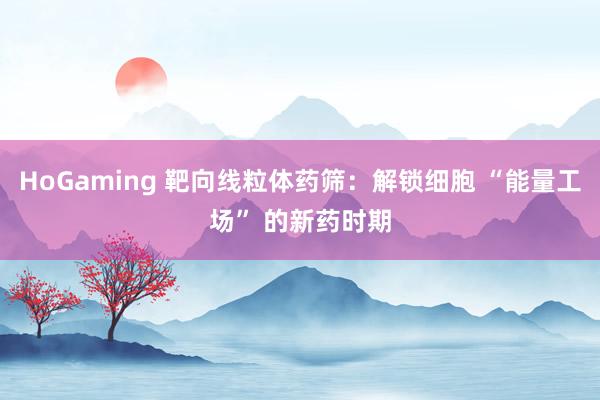 HoGaming 靶向线粒体药筛：解锁细胞 “能量工场” 的新药时期