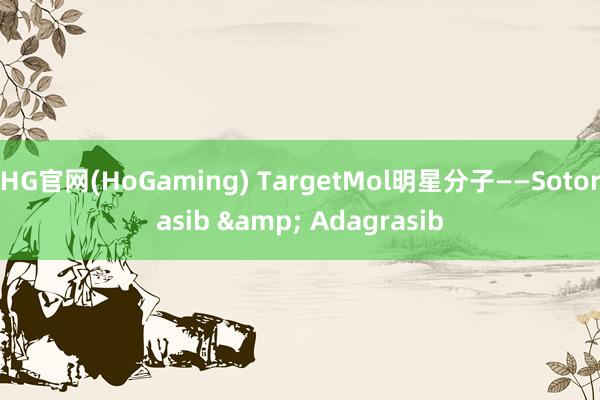 HG官网(HoGaming) TargetMol明星分子——Sotorasib & Adagrasib