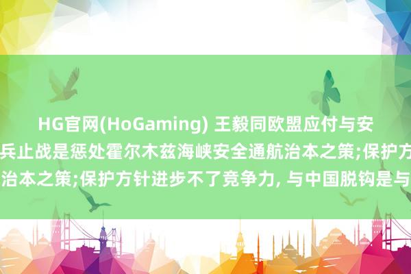 HG官网(HoGaming) 王毅同欧盟应付与安全策略高等代表通话: 寝兵止战是惩处霍尔木兹海峡安全通航治本之策;保护方针进步不了竞争力, 与中国脱钩是与机遇脱钩
