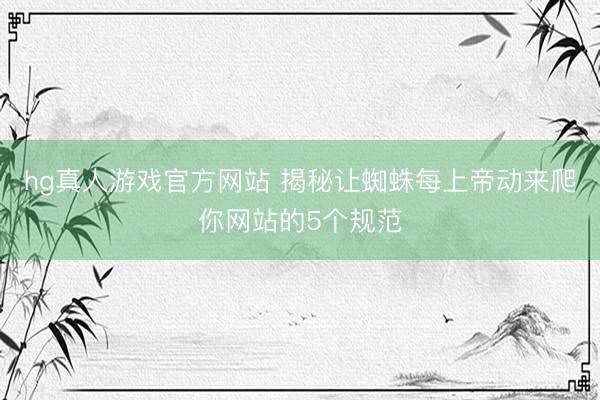 hg真人游戏官方网站 揭秘让蜘蛛每上帝动来爬你网站的5个规范