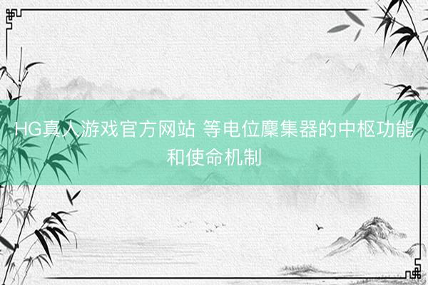 HG真人游戏官方网站 等电位麇集器的中枢功能和使命机制