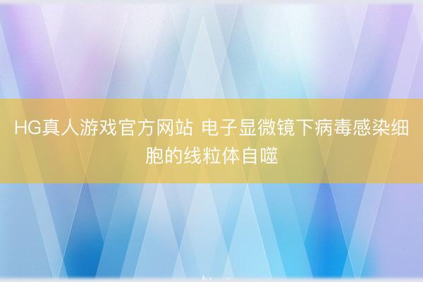 HG真人游戏官方网站 电子显微镜下病毒感染细胞的线粒体自噬