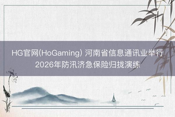 HG官网(HoGaming) 河南省信息通讯业举行2026年防汛济急保险归拢演练