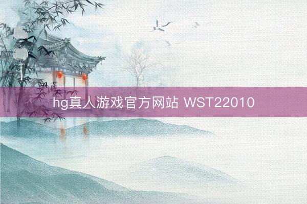 hg真人游戏官方网站 WST22010