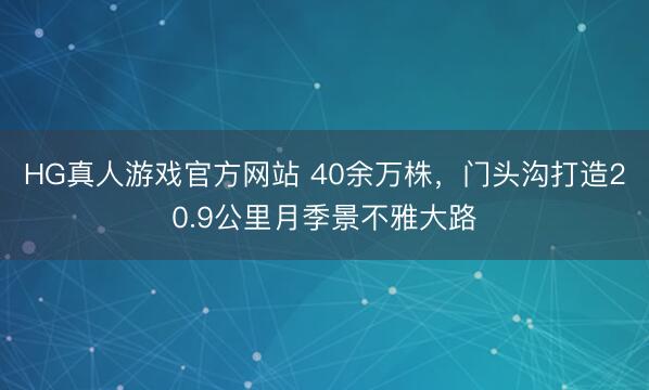 HG真人游戏官方网站 40余万株，门头沟打造20.9公里月季景不雅大路