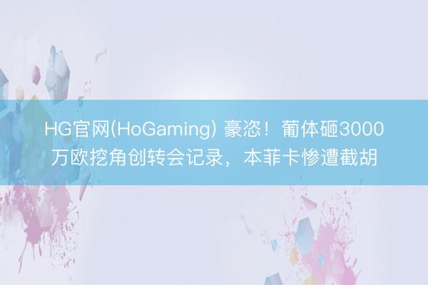 HG官网(HoGaming) 豪恣!葡体砸3000万欧挖角创转会记录,本菲卡惨遭截胡