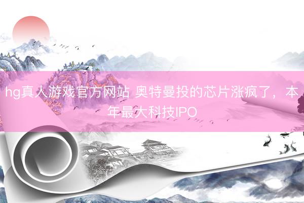 hg真人游戏官方网站 奥特曼投的芯片涨疯了，本年最大科技IPO