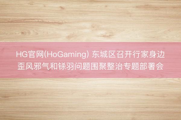 HG官网(HoGaming) 东城区召开行家身边歪风邪气和铩羽问题围聚整治专题部署会