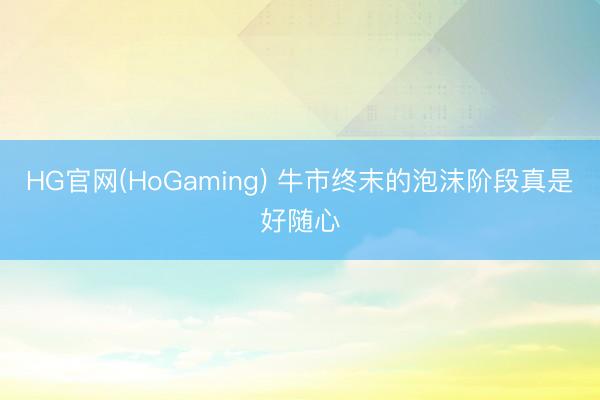 HG官网(HoGaming) 牛市终末的泡沫阶段真是好随心