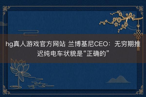 hg真人游戏官方网站 兰博基尼CEO：无穷期推迟纯电车状貌是“正确的”