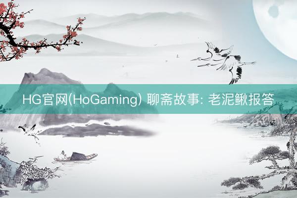 HG官网(HoGaming) 聊斋故事: 老泥鳅报答