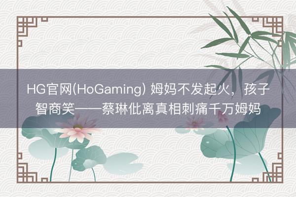 HG官网(HoGaming) 姆妈不发起火，孩子智商笑——蔡琳仳离真相刺痛千万姆妈