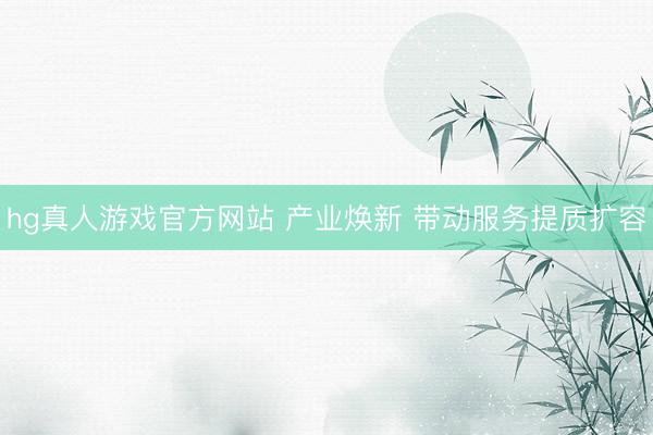 hg真人游戏官方网站 产业焕新 带动服务提质扩容